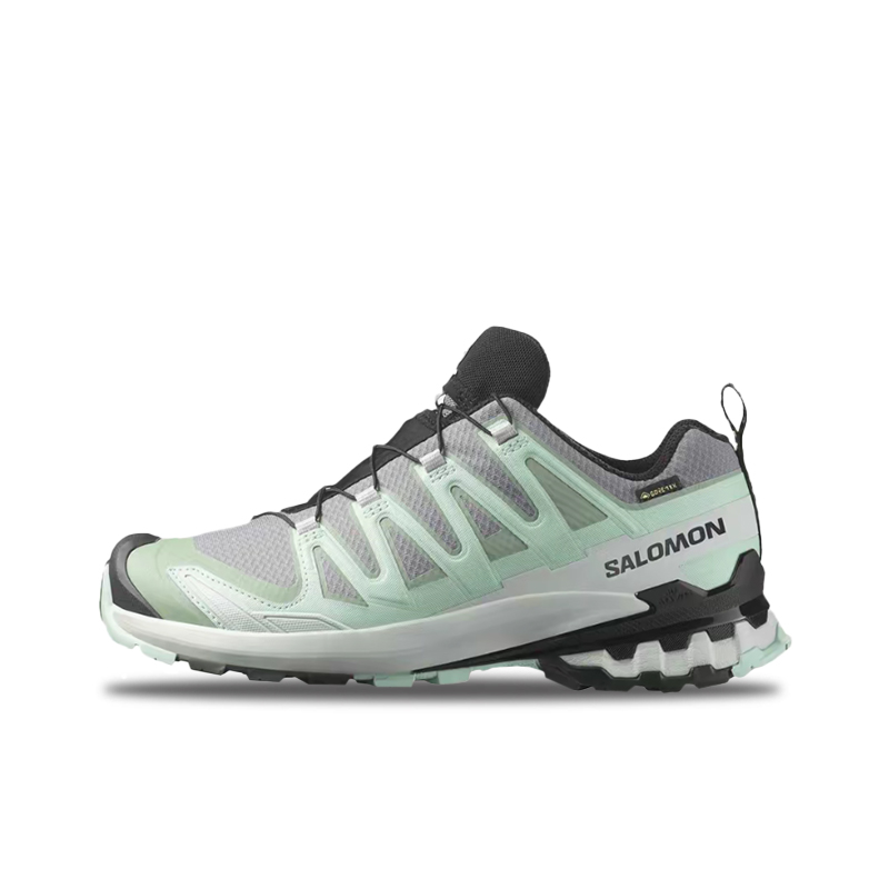Salomon XA Pro 3D V9 GTX: Scar - Salomon Shoes Xa Pro 3D recensione e prezzo
